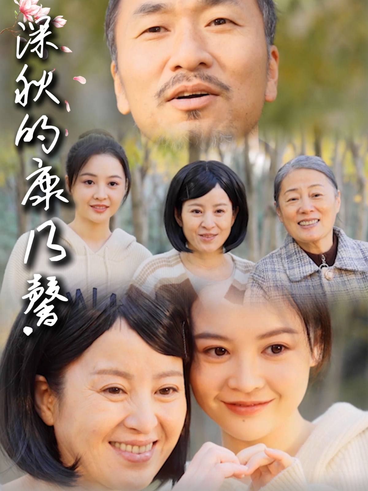 短剧《深秋的康乃馨》 短剧全集免费看，高清在线播放，大结局已完结！