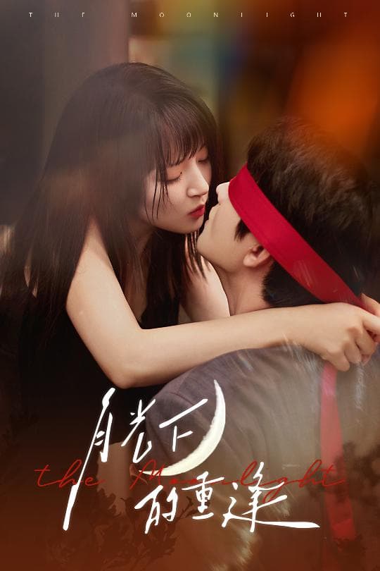 短剧《月光下的重逢》 短剧全集免费看，高清在线播放，大结局震撼来袭