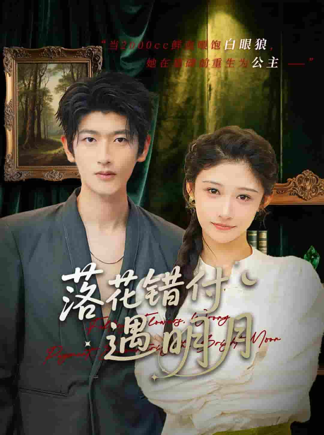 短剧《落花错付遇明月》 全集免费在线，高清画质，大结局震撼揭晓  第1张
