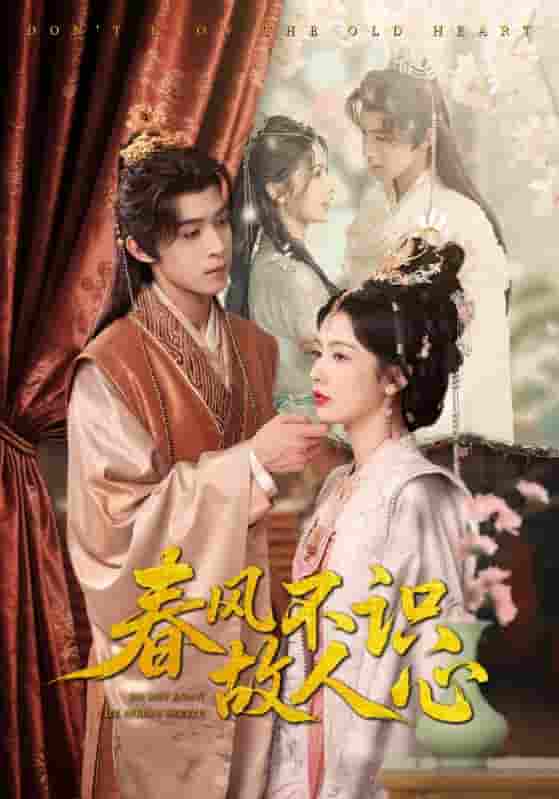短剧《春风不识故人心》 免费观看高清全集，大结局已完结  第1张