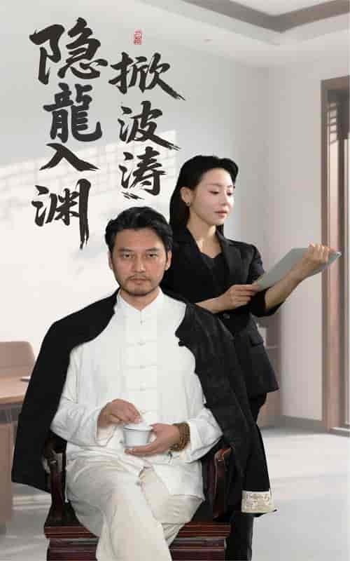 短剧《隐龍入渊掀波涛》 免费观看高清全集，大结局震撼来袭  第1张