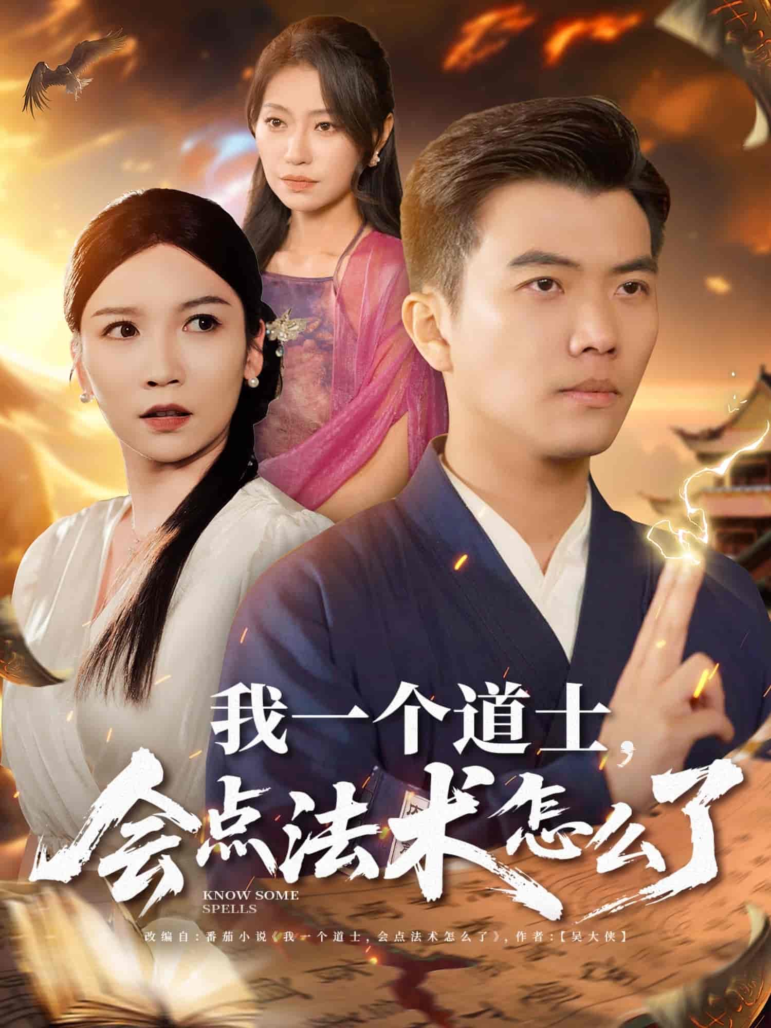 短剧《我一个道士，会点法术怎么了》 全集免费在线观看，高清画质，大结局震撼揭晓  第1张