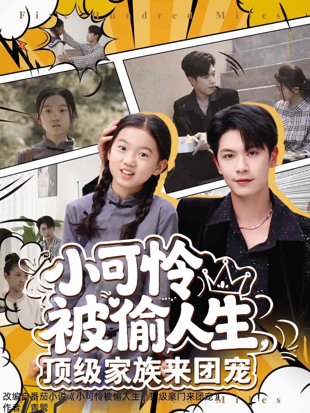 短剧《小可怜被偷人生，顶级家族来团宠》 短剧全集在线，免费高清观看，大结局震撼来袭！  第1张