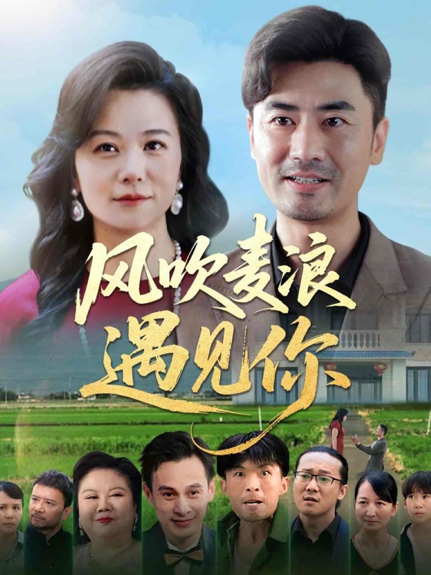 短剧《风吹麦浪遇见你》 高清全集！免费在线观看，大结局已完结