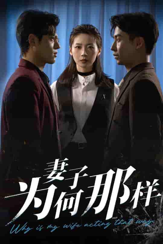 短剧《妻子为何那样》 完整版高清短剧免费，在线全集自由观看  第1张