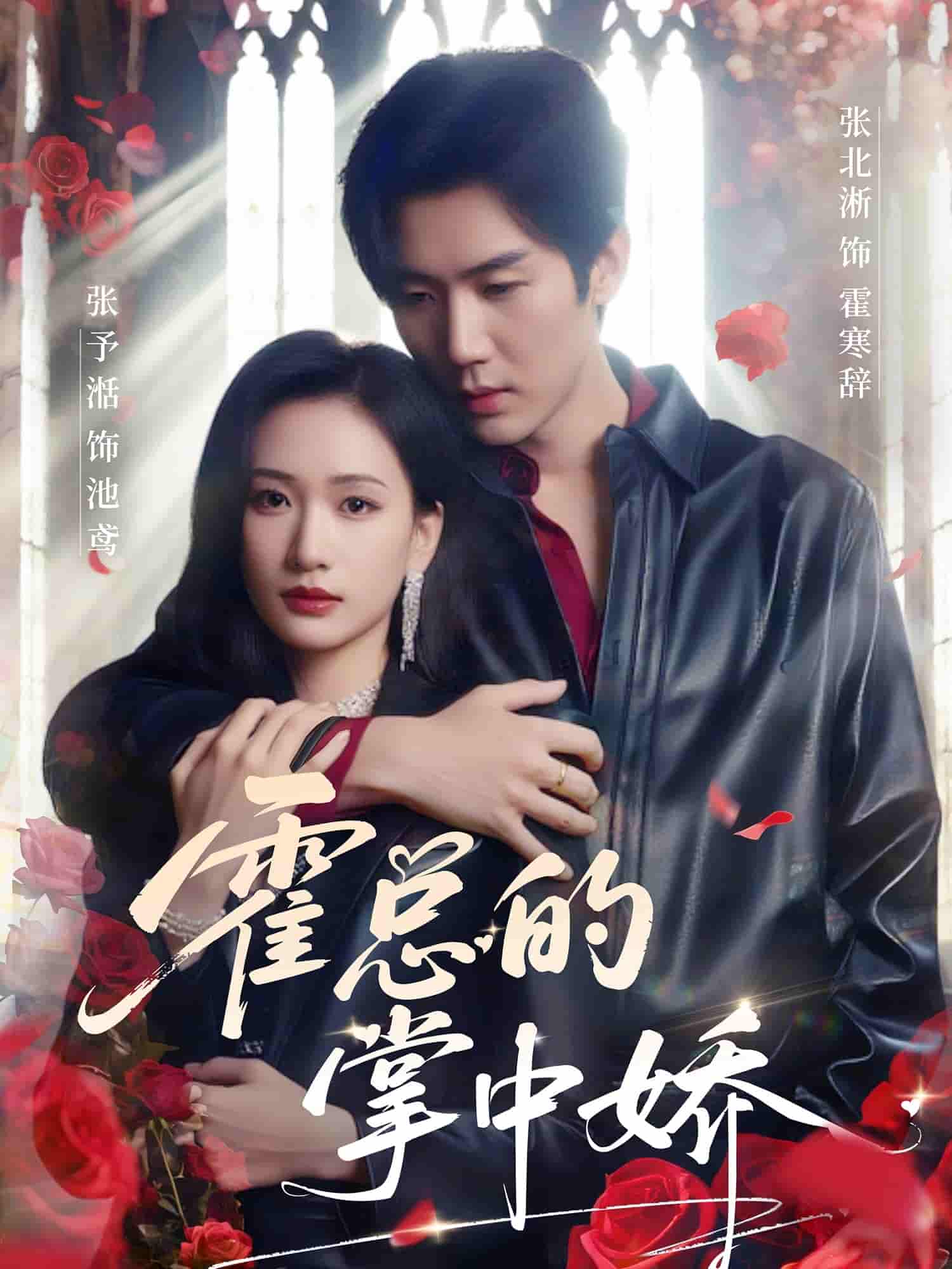 短剧《霍总的掌中娇》 免费在线观看高清全集，完整版大结局已完结