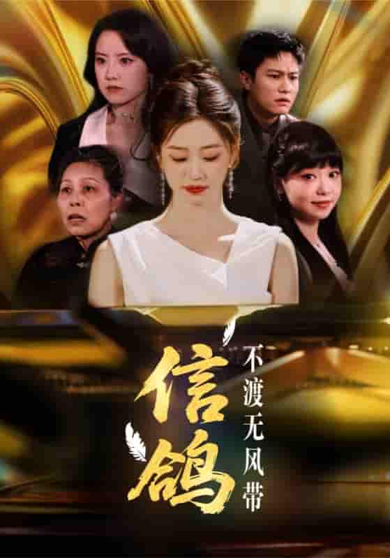 短剧《信鸽不渡无风带》 高清无码！全集免费在线观看，大结局震撼来袭