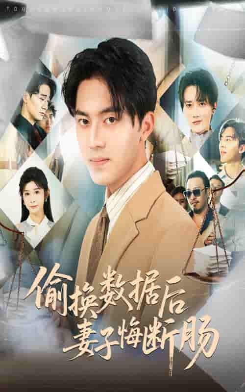 短剧《偷换数据后妻子悔断肠》 免费在线观看高清全集，完整版大结局已完结  第1张