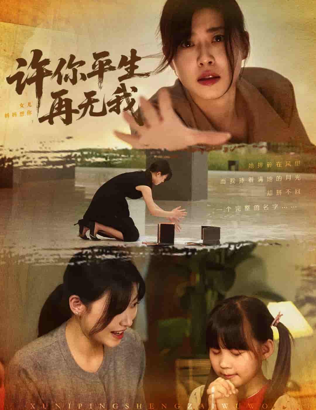 短剧《许你平生再无我》 免费高清短剧全集，完整版在线无限制享  第1张