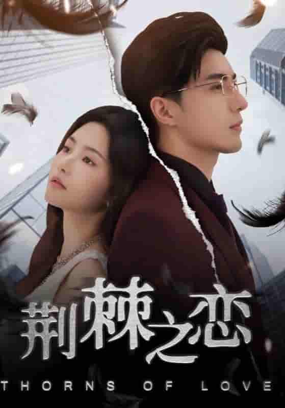 短剧《荆棘之恋》 高清短剧全集免费看，完整版在线随心观看无限制  第1张