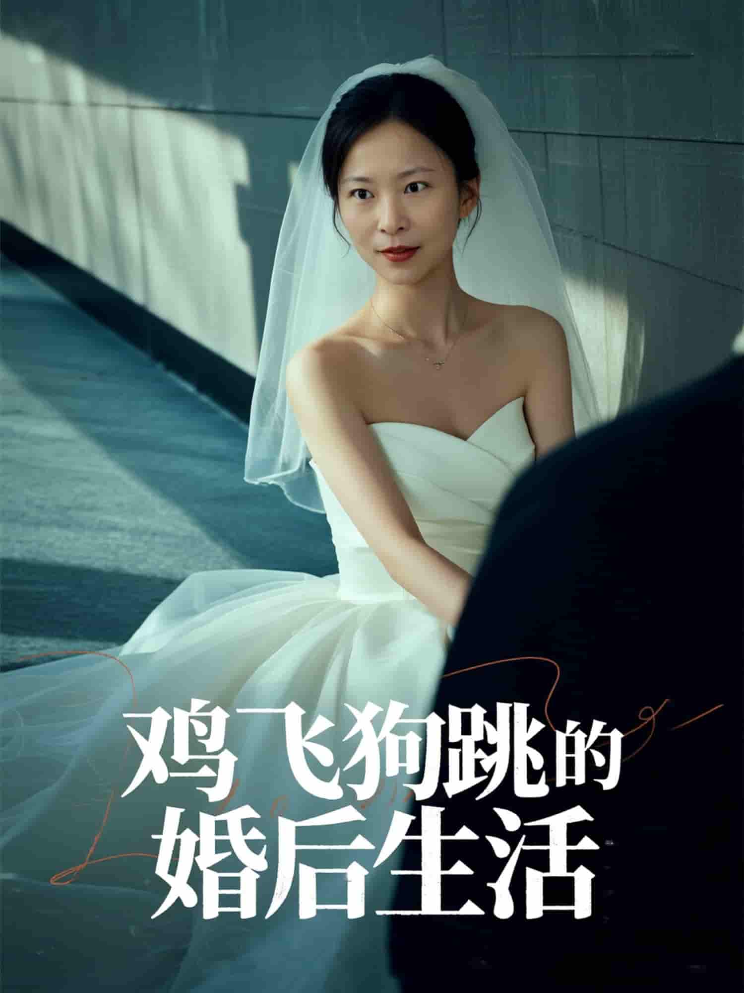 短剧《鸡飞狗跳的婚后生活》 免费观看高清全集，在线播放完整版，大结局已完结！  第1张