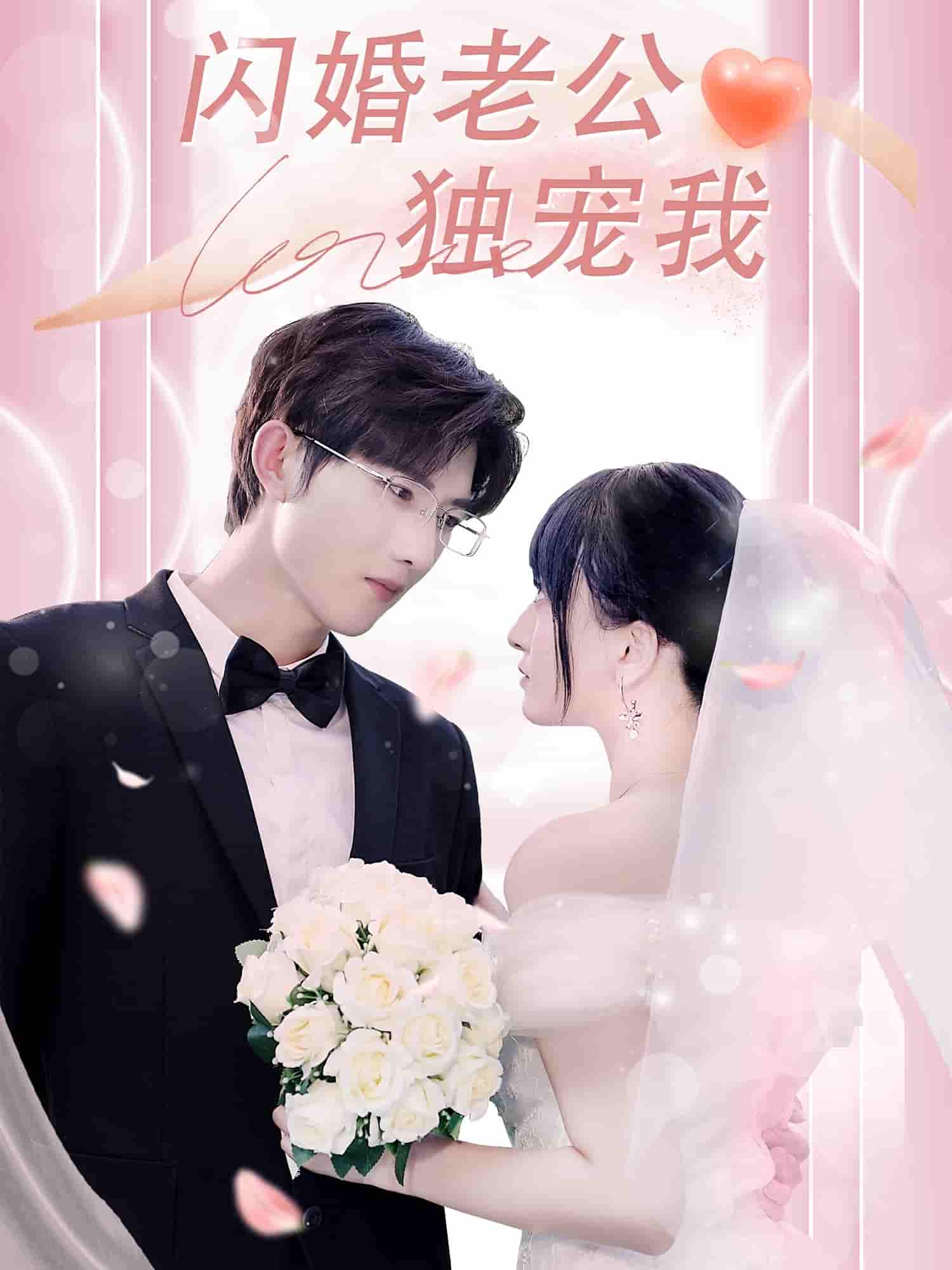 短剧《闪婚老公独宠我》 短剧全集免费看，高清在线播放，大结局震撼揭晓  第1张