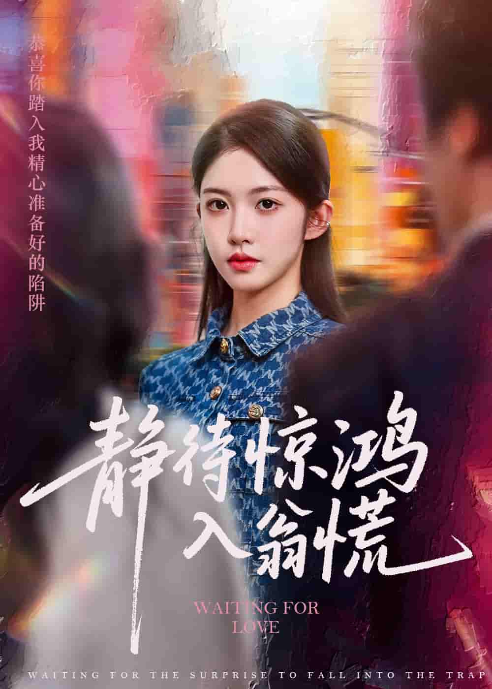短剧《静待惊鸿入翁慌》 全集高清免费在线观看，大结局震撼揭晓！  第1张